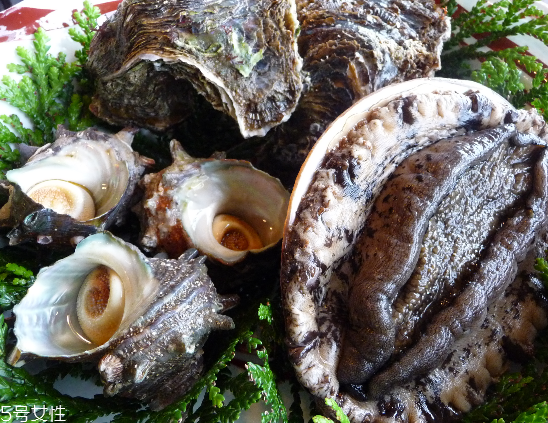 鮑魚可以燉湯嗎 鮑魚湯超美味 鮑魚可以燉湯嗎 鮑魚湯超美味