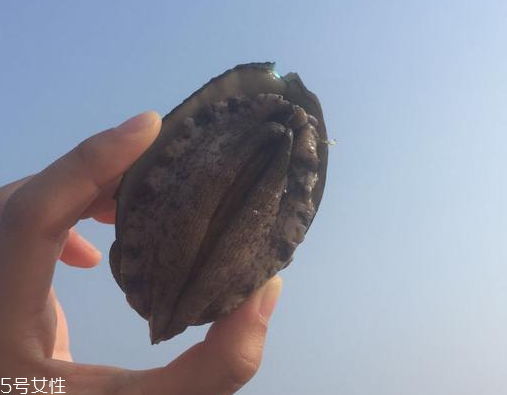 鮑魚內臟能吃嗎 有辦法避免