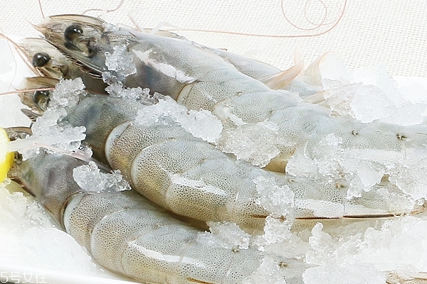 基圍蝦隔夜能吃嗎 不推薦食用 基圍蝦隔夜能吃嗎 不推薦食用