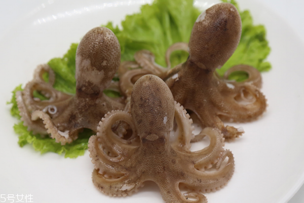 章魚為什么要活著吃 品嘗章魚極致鮮美 章魚為什么要活著吃 品嘗章魚極致鮮美