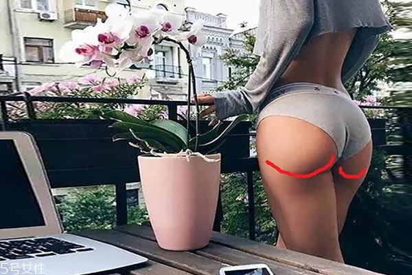 微笑線在哪里 屁股和大腿的分界線 微笑線在哪里 屁股和大腿的分界線