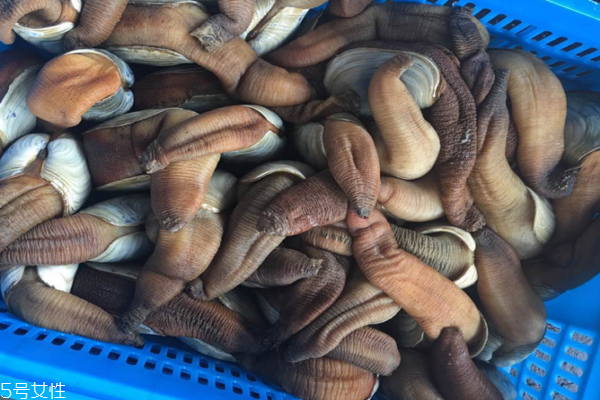 象拔蚌切片怎么吃 刺身炒菜都可以 象拔蚌切片怎么吃 刺身炒菜都可以