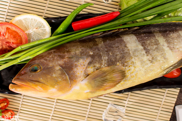 石斑魚(yú)為什么這么貴 原來(lái)貴在這里