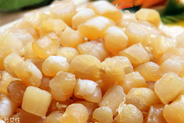 瑤柱能包餃子嗎 包餃子超級鮮 瑤柱能包餃子嗎 包餃子超級鮮