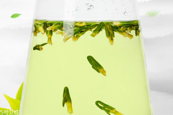 蓮子心泡水喝的功效與禁忌 這些你都要知道 蓮子心泡水喝的功效與禁忌 這些你都要知道