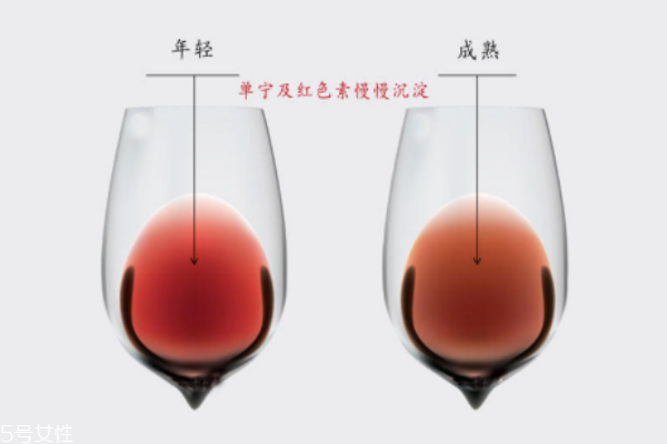 紅酒顏色發(fā)褐色能喝嗎 陳年老釀可以喝 紅酒顏色發(fā)褐色能喝嗎 陳年老釀可以喝