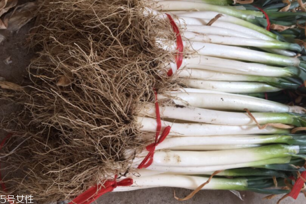 大蔥能和韭菜一起吃嗎 可以一起包餃子 大蔥能和韭菜一起吃嗎 可以一起包餃子