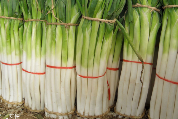 大蔥能多吃嗎 適量最好 大蔥能多吃嗎 適量最好