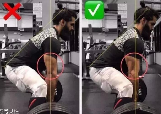 健身新手開(kāi)始怎么練最好 健身新手常見(jiàn)錯(cuò)誤動(dòng)作 健身新手開(kāi)始怎么練最好 健身新手常見(jiàn)錯(cuò)誤動(dòng)作