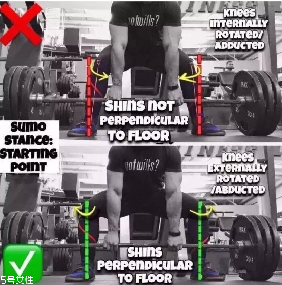 健身新手開(kāi)始怎么練最好 健身新手常見(jiàn)錯(cuò)誤動(dòng)作 健身新手開(kāi)始怎么練最好 健身新手常見(jiàn)錯(cuò)誤動(dòng)作