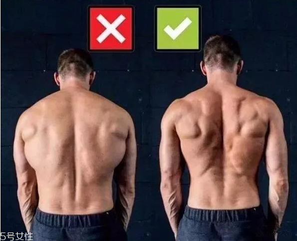 健身新手開(kāi)始怎么練最好 健身新手常見(jiàn)錯(cuò)誤動(dòng)作 健身新手開(kāi)始怎么練最好 健身新手常見(jiàn)錯(cuò)誤動(dòng)作