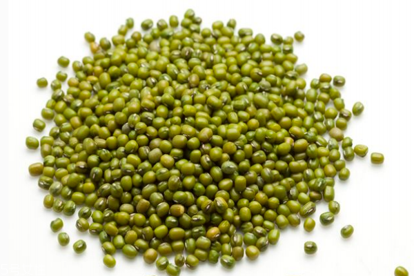 綠豆為什么煮不爛 你可能買到了鐵豆子 綠豆為什么煮不爛 你可能買到了鐵豆子