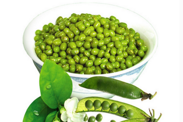 綠豆為什么煮不爛 你可能買到了鐵豆子 綠豆為什么煮不爛 你可能買到了鐵豆子