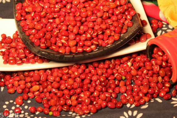 紅豆不適合什么人吃 吃紅豆必看 紅豆不適合什么人吃 吃紅豆必看