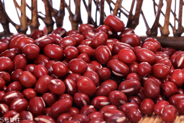 紅豆不適合什么人吃 吃紅豆必看 紅豆不適合什么人吃 吃紅豆必看