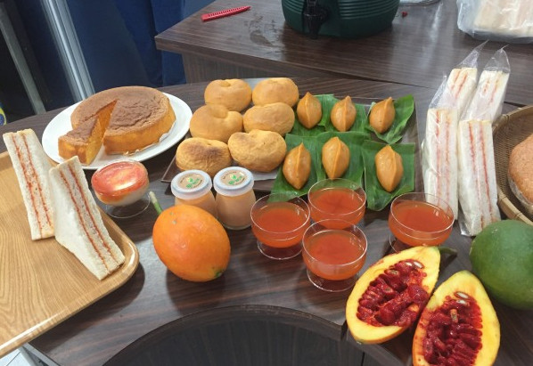 木鱉子是什么 木鱉子怎么吃 木鱉子是什么 木鱉子怎么吃