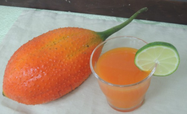 木鱉子是什么 木鱉子怎么吃 木鱉子是什么 木鱉子怎么吃