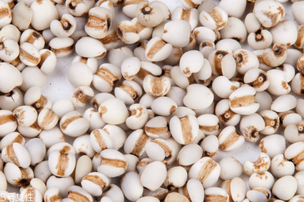 薏仁為什么有霉味 有兩個可能 薏仁為什么有霉味 有兩個可能
