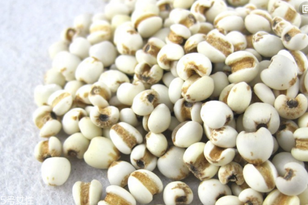 薏仁為什么有霉味 有兩個可能 薏仁為什么有霉味 有兩個可能