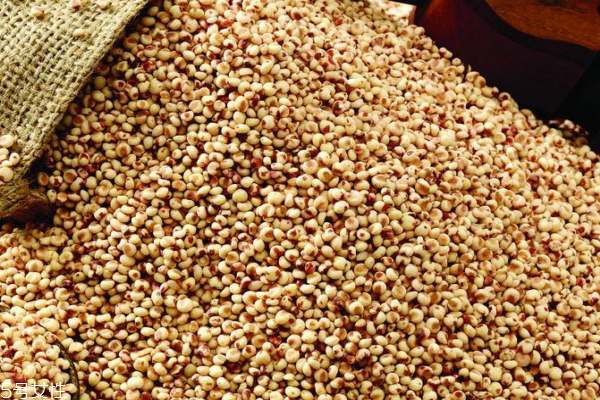 薏仁為什么要炒 炒薏仁更溫和 薏仁為什么要炒 炒薏仁更溫和