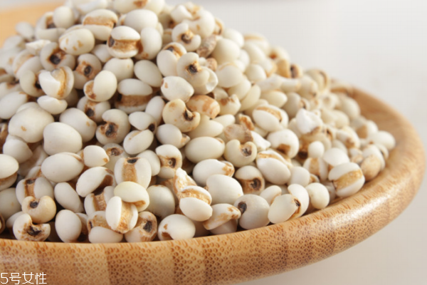 薏仁為什么煮不爛 確實(shí)難煮 薏仁為什么煮不爛 確實(shí)難煮
