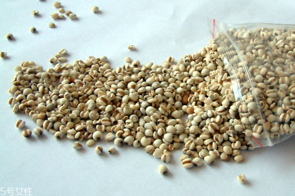 薏仁為什么煮不爛 確實(shí)難煮 薏仁為什么煮不爛 確實(shí)難煮