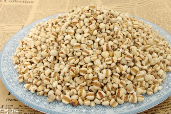 薏仁為什么煮不爛 確實(shí)難煮 薏仁為什么煮不爛 確實(shí)難煮