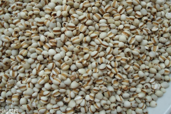 薏仁為什么孕婦不能吃 原來是這個原因 薏仁為什么孕婦不能吃 原來是這個原因