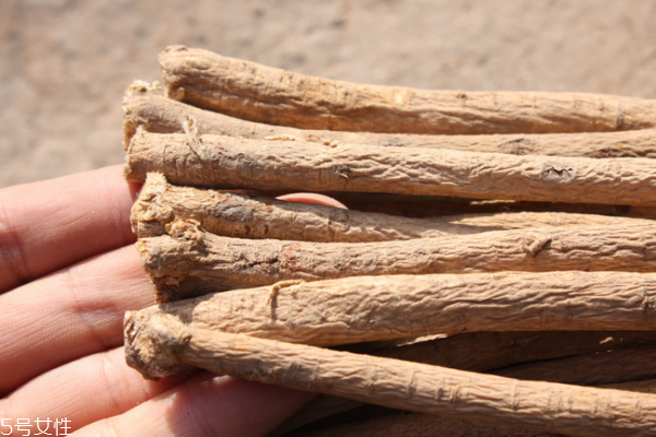 黃芪為什么會(huì)生蟲(chóng) 這個(gè)是正?，F(xiàn)象