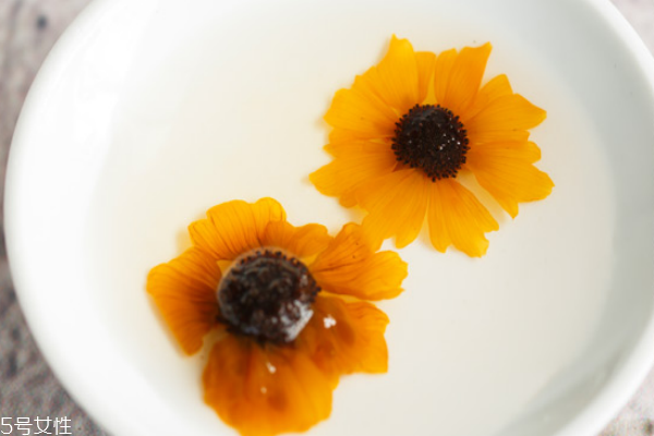 雪菊是中藥嗎 屬于這個(gè)類別 雪菊是中藥嗎 屬于這個(gè)類別