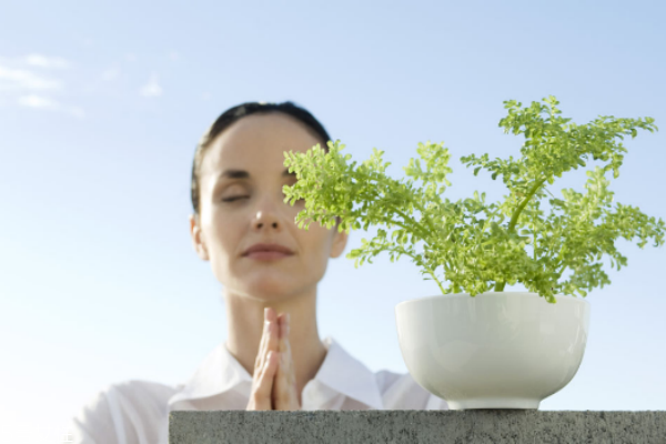 下腹痛、白帶變多，可能是骨盆腔炎