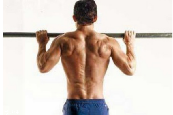 引體向上一天做多少個(gè)合適 練習(xí)引體向上的注意事項(xiàng) 引體向上一天做多少個(gè)合適 練習(xí)引體向上的注意事項(xiàng)