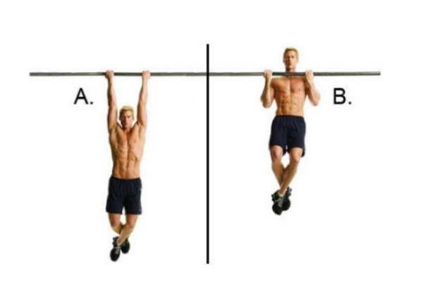 引體向上可以天天練嗎 做引體向上的最佳時(shí)間 引體向上可以天天練嗎 做引體向上的最佳時(shí)間