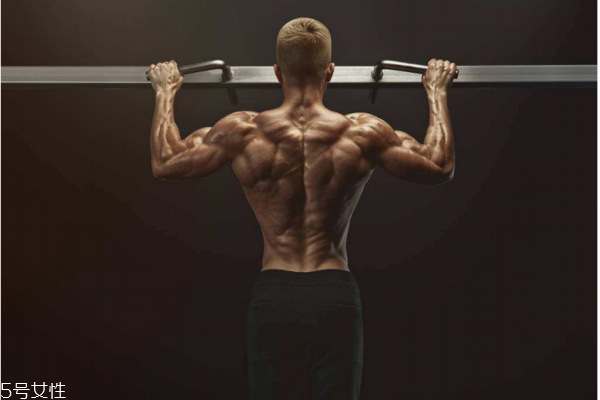 引體向上可以練胸肌嗎 引體向上練胸肌的方法 引體向上可以練胸肌嗎 引體向上練胸肌的方法