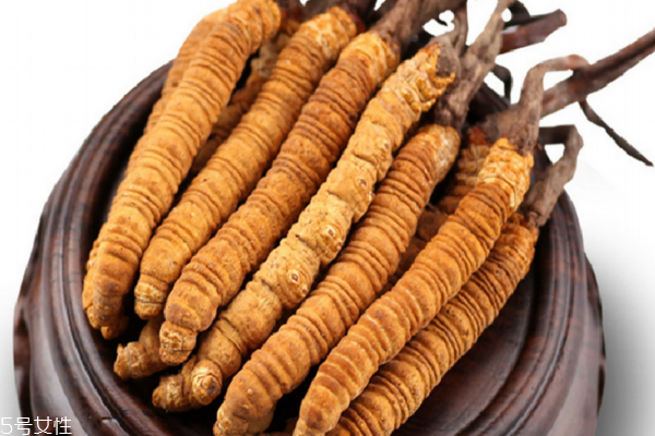 冬蟲夏草怎么煲湯 蟲草雞湯配方 冬蟲夏草怎么煲湯 蟲草雞湯配方