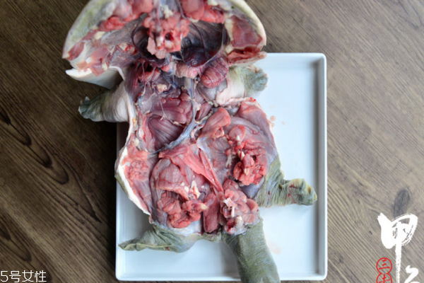 甲魚有寄生蟲嗎 一般都有 甲魚有寄生蟲嗎 一般都有