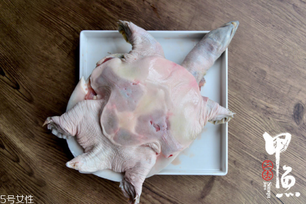 甲魚有寄生蟲嗎 一般都有 甲魚有寄生蟲嗎 一般都有