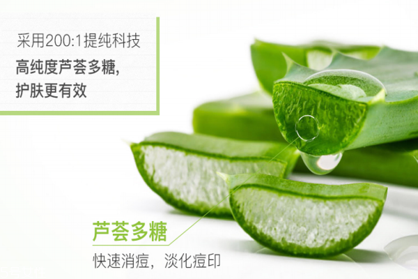 雅麗潔蘆薈膠怎么樣 國產(chǎn)老牌 雅麗潔蘆薈膠怎么樣 國產(chǎn)老牌