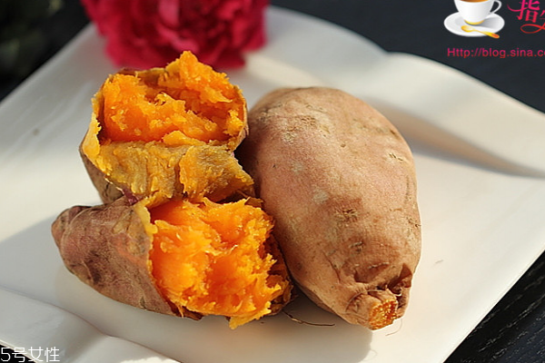 紅薯怎么保存不會爛掉 老方法才最實(shí)用 紅薯怎么保存不會爛掉 老方法才最實(shí)用