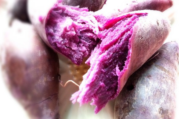 紫薯是轉(zhuǎn)基因嗎 并不是這樣 紫薯是轉(zhuǎn)基因嗎 并不是這樣