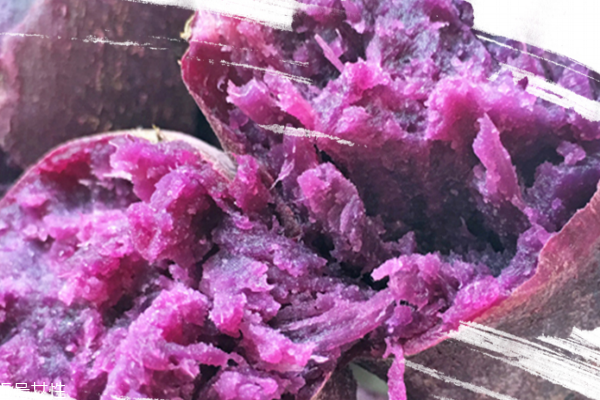 紫薯有什么好處 一看便知 紫薯有什么好處 一看便知