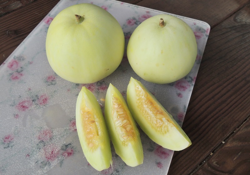 香瓜怎么挑選與保存 香瓜怎么挑選與保存