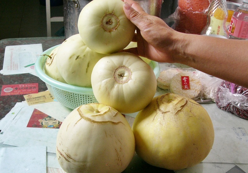 香瓜怎么挑選與保存 香瓜怎么挑選與保存