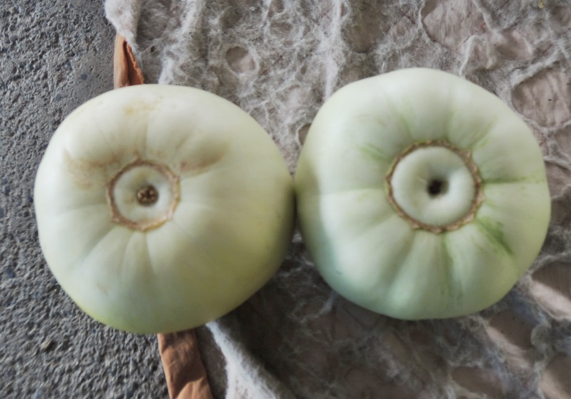 香瓜怎么挑選與保存 香瓜怎么挑選與保存