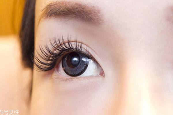 角蛋白濃睫術能維持多久 大約可以維持6-8周 角蛋白濃睫術能維持多久 大約可以維持6-8周