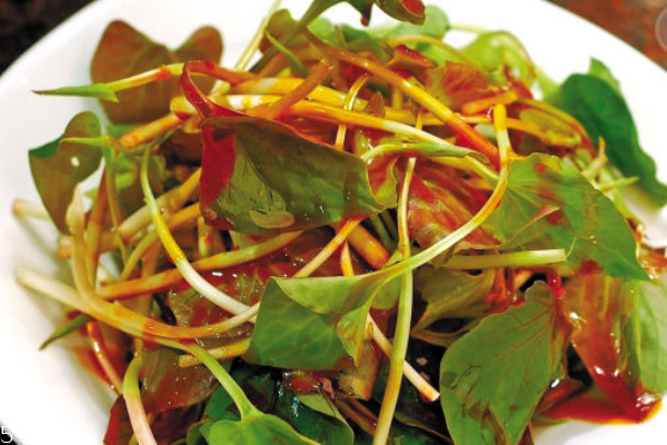 魚(yú)腥草能治皮膚病嗎 有的能治 魚(yú)腥草能治皮膚病嗎 有的能治