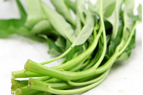 空心菜吃多了會(huì)怎樣 兩個(gè)壞處 空心菜吃多了會(huì)怎樣 兩個(gè)壞處