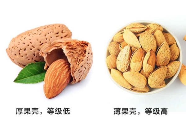 巴旦木等級(jí)怎么分 外殼越薄等級(jí)越高 巴旦木等級(jí)怎么分 外殼越薄等級(jí)越高