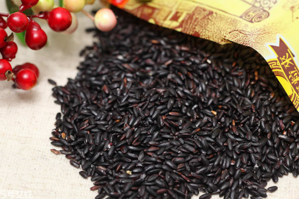 黑米會生蟲嗎 保存不當會生蟲 黑米會生蟲嗎 保存不當會生蟲