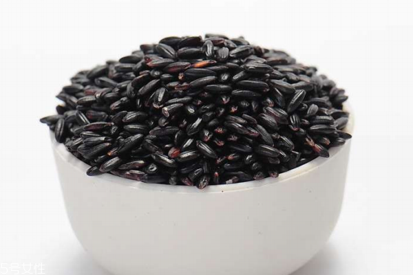 黑米會生蟲嗎 保存不當會生蟲 黑米會生蟲嗎 保存不當會生蟲